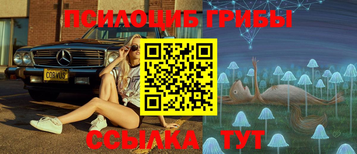 Галлюциногенные грибы MAGIC MUSHROOMS  Вход с VPN  Верхняя Салда 
